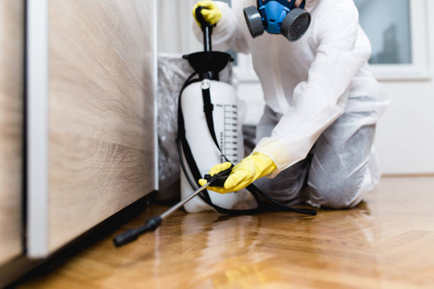 Best Wildlife Control Services  in Payson, IL