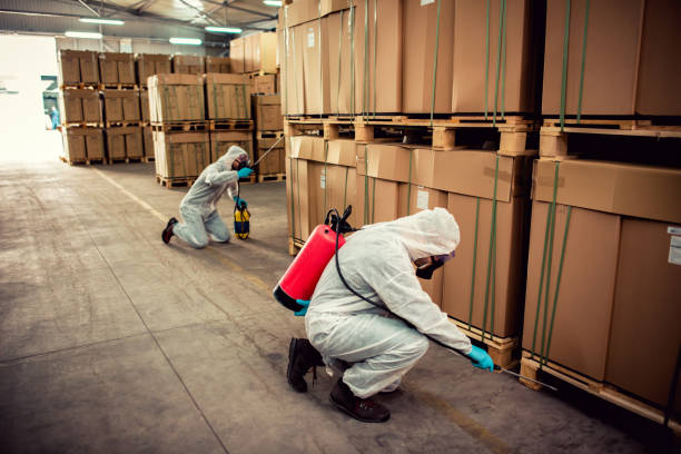 Best Exterminator Services  in Payson, IL