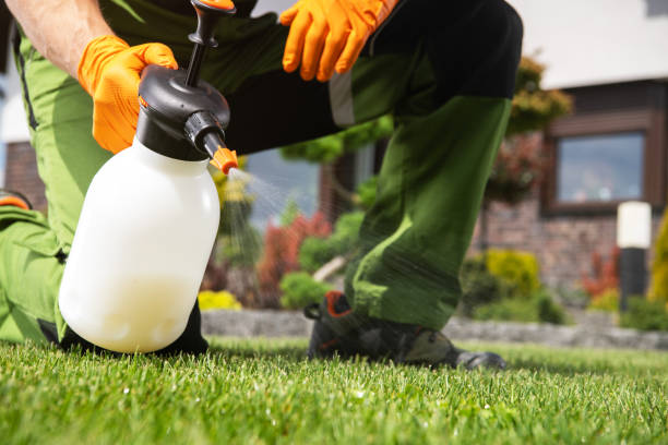 Reliable Payson, IL Pest Control Solutions