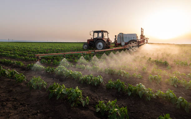 Best Commercial Pest Control Services  in Payson, IL