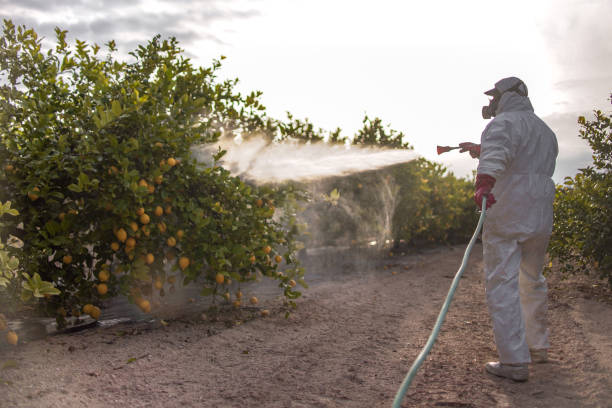 Best Pest Inspection Near Me  in Payson, IL