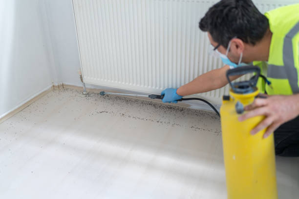 Reliable Payson, IL Pest Control Solutions